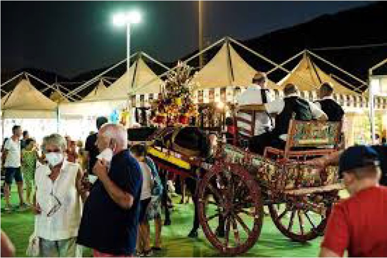 Spettacolo musicale folkloristico